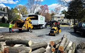 Best Firewood Processing and Delivery  in English, IN